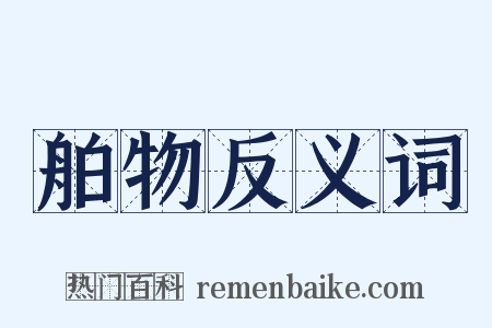 舶物反义词是什么意思的图片